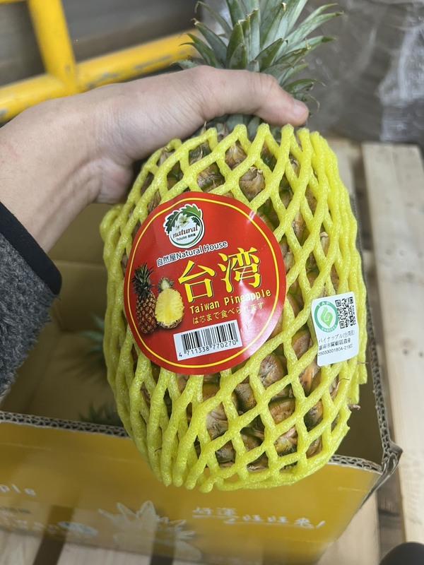 「新加坡食品展」後首批銷往新加坡的鳳梨貨櫃於今日上午裝櫃，預計將於4月19日抵達新加坡，並於4月25至27日在新加坡FairPrice的10家連鎖超市進行30場試吃品嚐活動。 圖：台南市政府提供