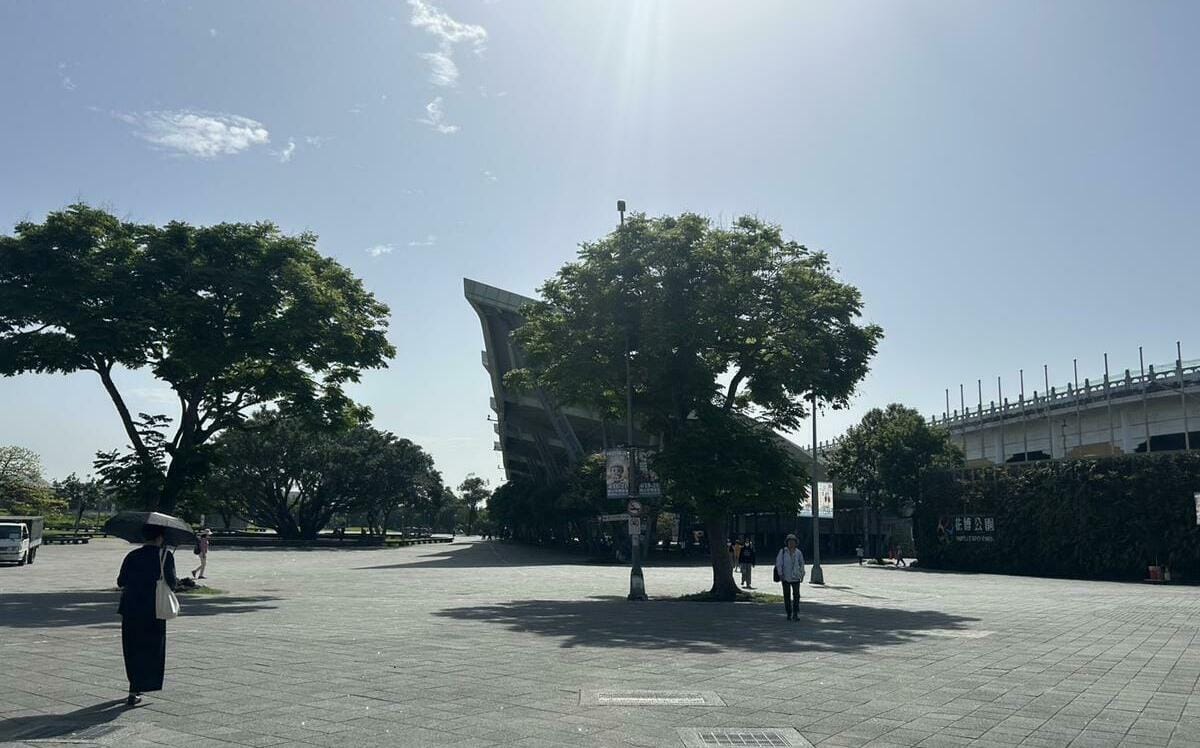 夏天出門快融化？環境部公布「都市林」六大追蹤重點 打造城市天然冷氣