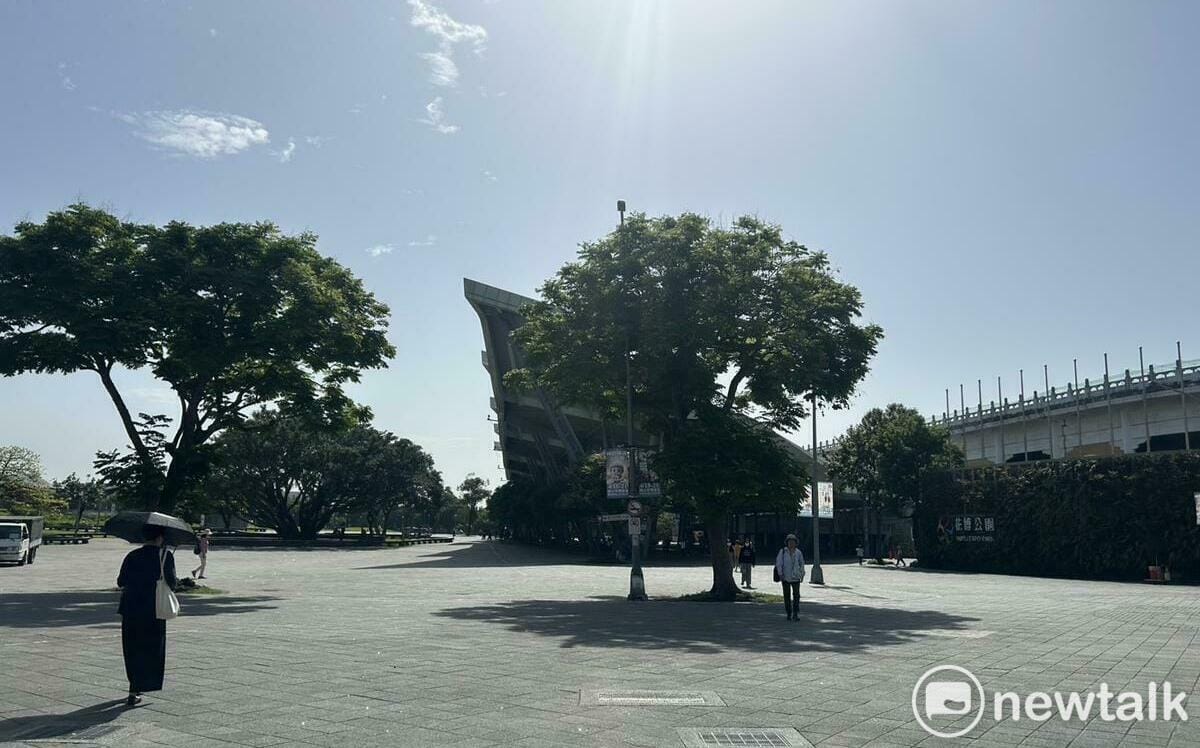 夏天出門快融化？環境部公布「都市林」六大追蹤重點 打造城市天然冷氣