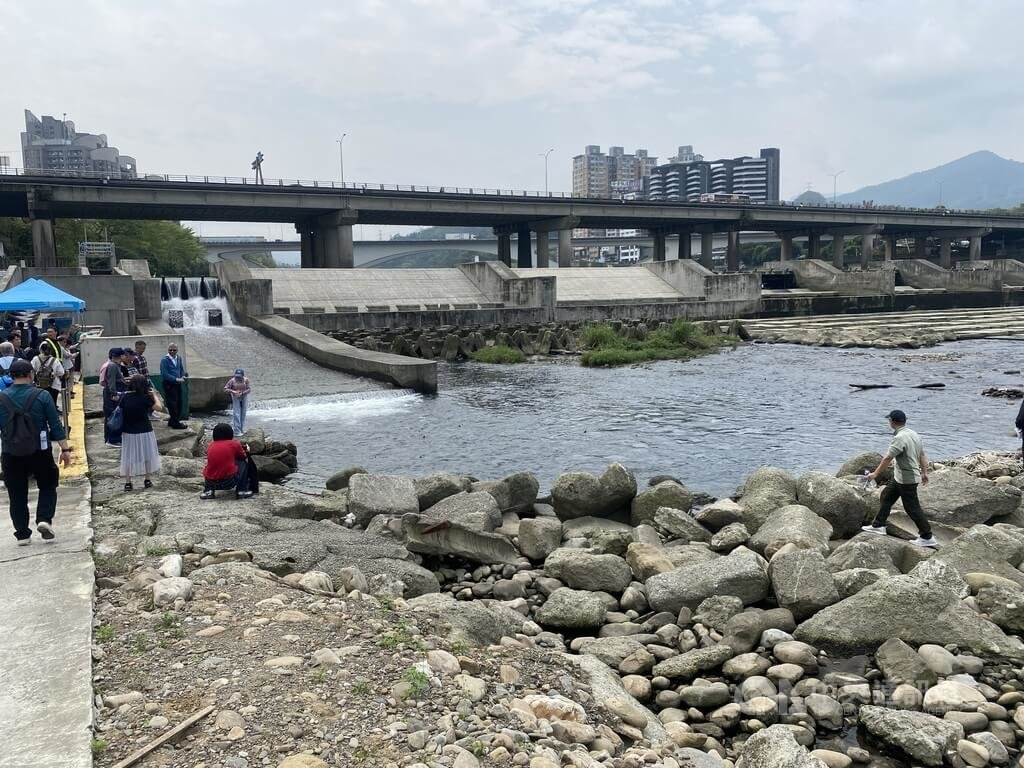 新北市新店碧潭堰有大量鰱魚洄游引發各界討論，不過溪流與保育團體認為，人工魚道不是萬靈丹，維護河川原有棲地樣貌才是根本。圖為民眾於114年4月8日聚集關注大量鰱魚洄游。中央社記者黃旭昇新北市攝 114年4月19日