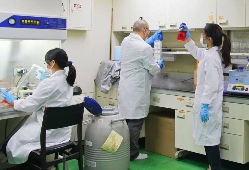 朗齊生醫啟動抗癌新藥APL-101三期臨床試驗，將造福肺癌患者。 圖：朗齊生醫公司/提供