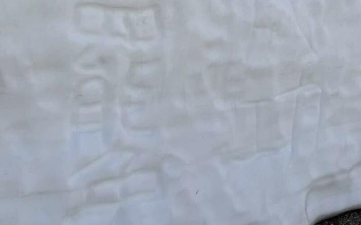 台灣旅客立山黑部雪牆留言「大罷免」遭轟！網：該區域本就開放留言