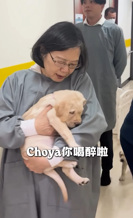 蔡英文抱著「Choya」十分開心 圖：翻攝自蔡英文IG