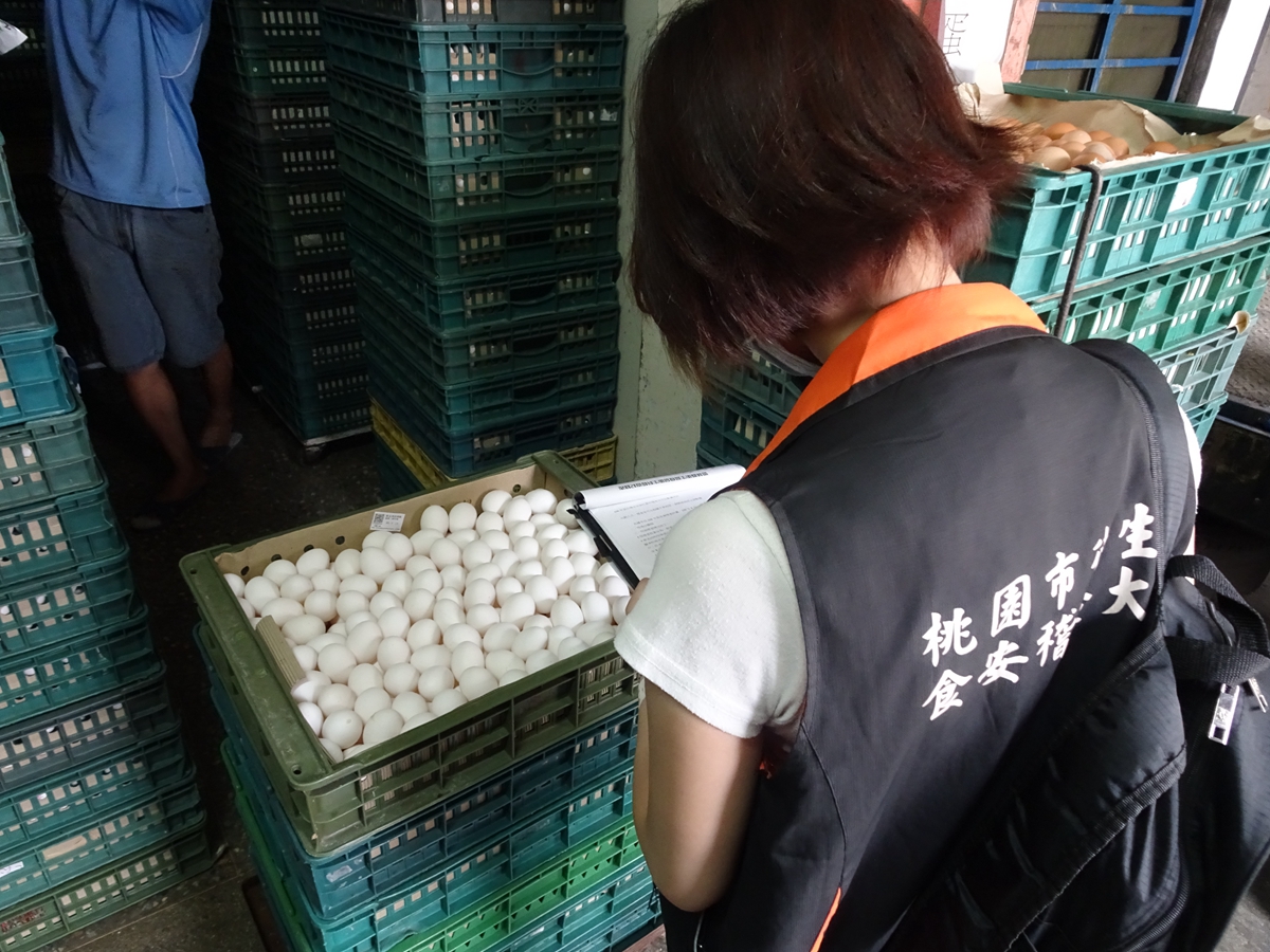 桃園市衛生局一邊持續查核問題雞蛋流向，一邊整理公布販售合格蛋品的賣場名單，供民眾參考。 圖：桃園市衛生局/提供
