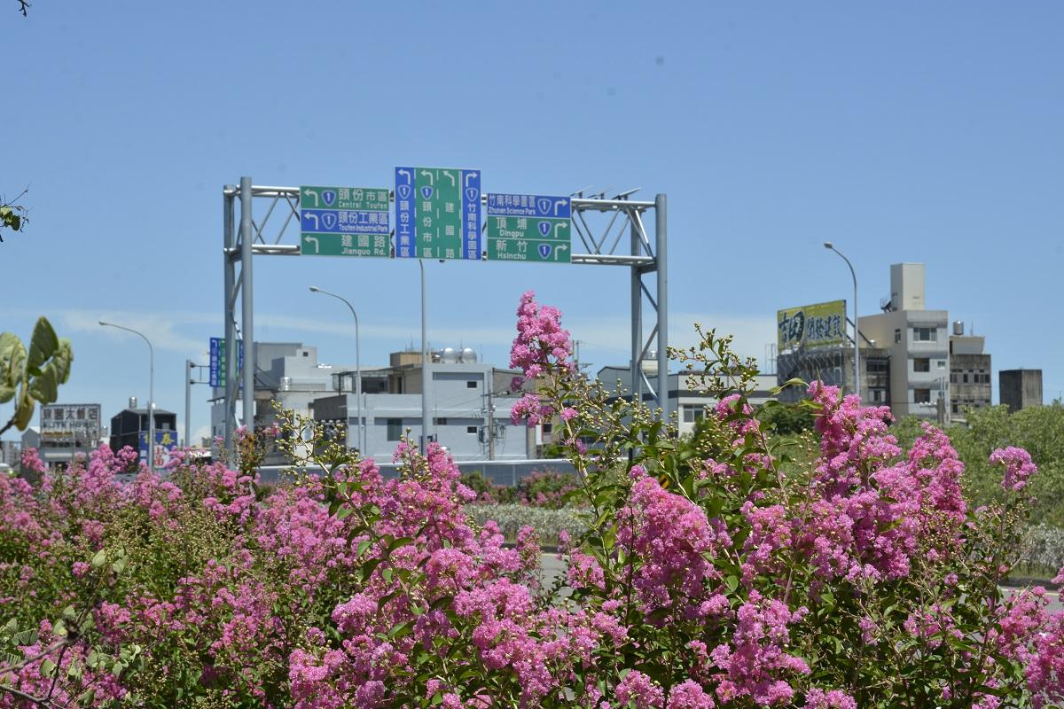 國道1號頭份路段紫薇花期為7~8月。 圖：高速公路局／提供