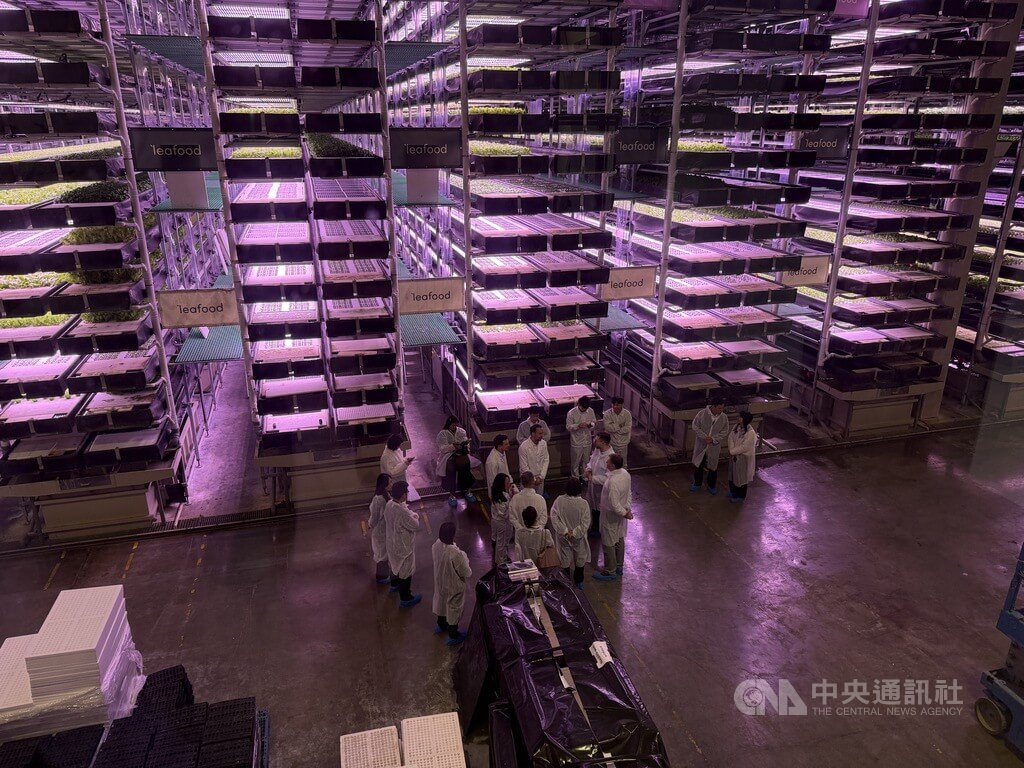 Leafood公司是全歐洲規模最大的垂直農場，總種植面積達4000平方公尺。蔡英文換上無塵衣，在源鮮公司董事長蔡文清與Leafood創辦人兼執行長戚文斯卡斯的介紹下，近距離觀察水耕蔬菜的種植與技術應用。  圖/中央社