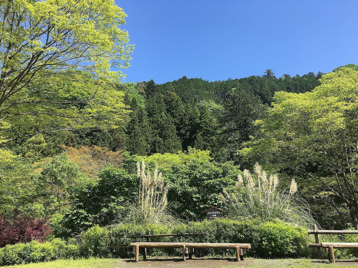 晚霞小村交流園區擁有市郊的豐富自然環境，大口呼吸新鮮空氣，忘卻喧囂，度過愜意夏日。 圖：© 夕焼け小焼けふれあいの里／提供