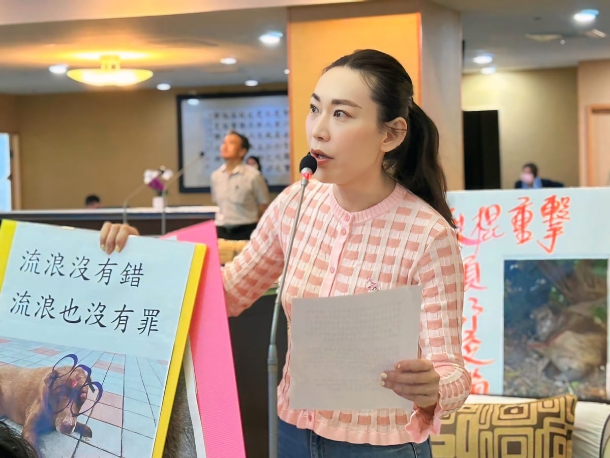 台南市議員曾之婕在議會為被虐殺的浪浪（流浪狗）「申冤」，指出最近台南出現一名開著進口轎車的男子，到處隨機虐殺犬隻，平時出沒在安平區、安南區和七股一帶，他都拿著鐵棍鐵條或磚塊，朝犬隻的頭部重擊，自去年以來已有多隻浪浪死於非命，他要求動保處會同警方務必要嚴辦到底。 圖：黃博郎／攝