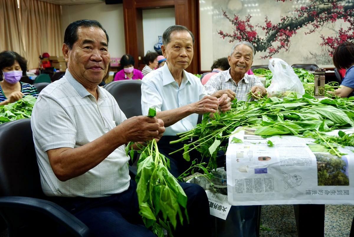 萬和宮董事長蕭清杰等人重溫兒時挑揀麻芛的回憶。 圖：萬和宮/提供