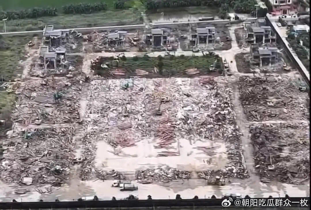 潮汕豪宅「英之園」近日進行違規拆除工作。 圖：翻攝自微博