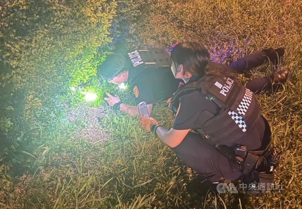 新北市三重警分局厚德派出所員警日前接獲民眾報案，指有幼貓被困在國道三重交流道分隔島草叢內，經員警圍捕並用零食引誘下，順利救出小貓。（翻攝照片）中央社記者王鴻國傳真  114年6月2日