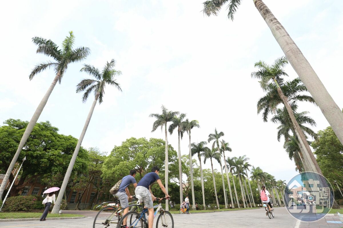 台大在本次QS世界大學排名前進5個名次，為台灣排名最高的大學。 圖：鏡傳媒（資料照）