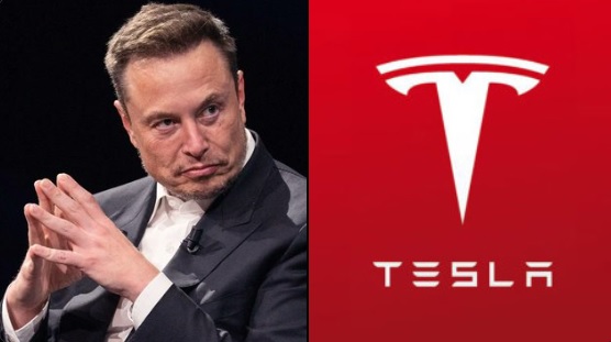 川普稱若美國取消對電動車的補助，馬斯克恐怕要被迫回到南非老家。 圖：翻攝自 @0xCheshire X 帳號