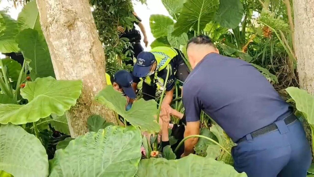 嘉義市90歲蔡姓老婦22日凌晨獨自離家失蹤，警方獲報展開地毯式搜尋，23日在八掌溪堤防旁草叢間發現滿身擦傷被蒼蠅縈繞的老婦，緊急送醫急救。（警方提供）中央社記者蔡智明傳真  114年6月24日