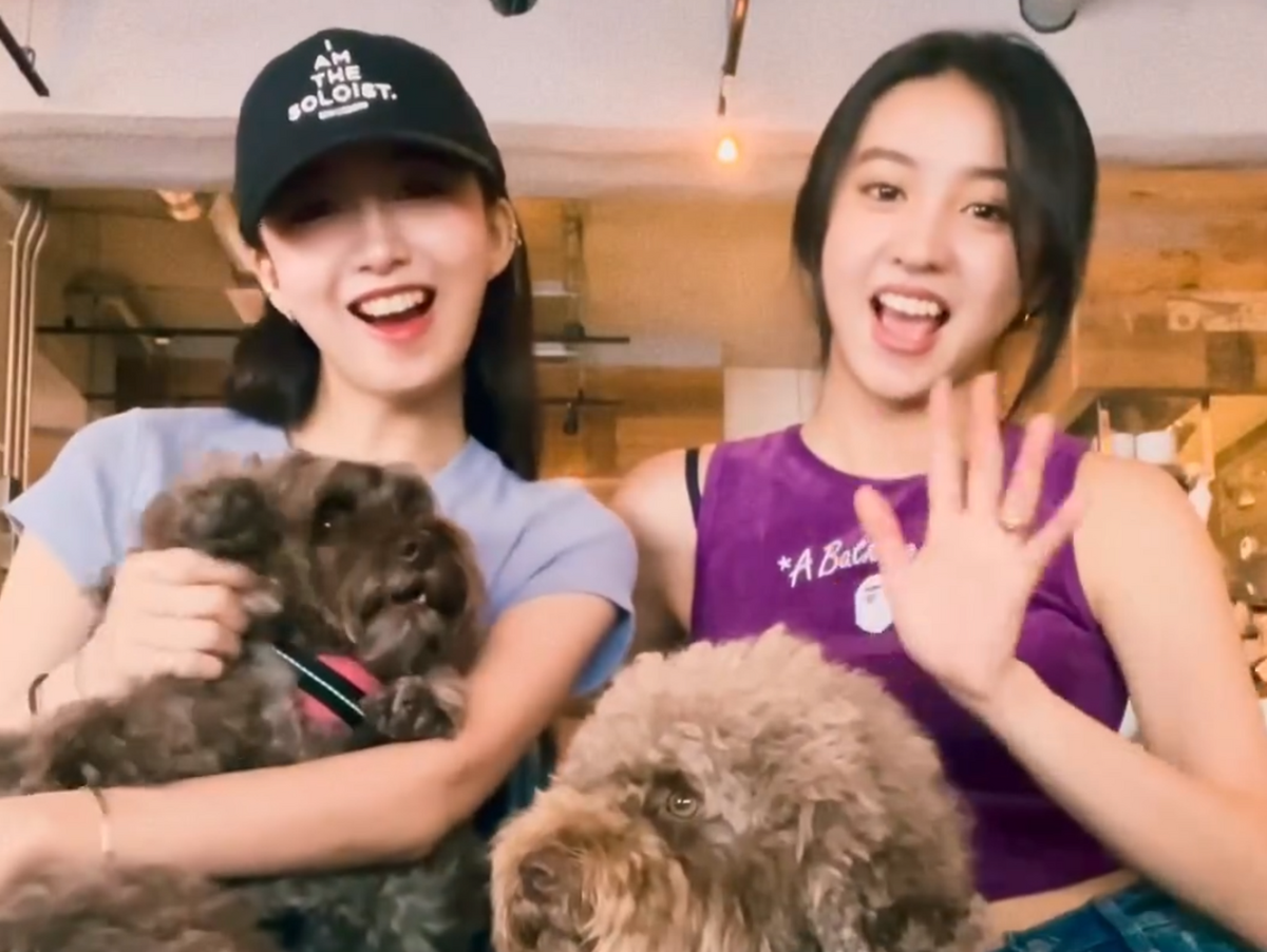 木村光希（右）和姊姊心美（左）久違同框，各自抱著狗狗，萌翻眾人。（翻攝koki IG）