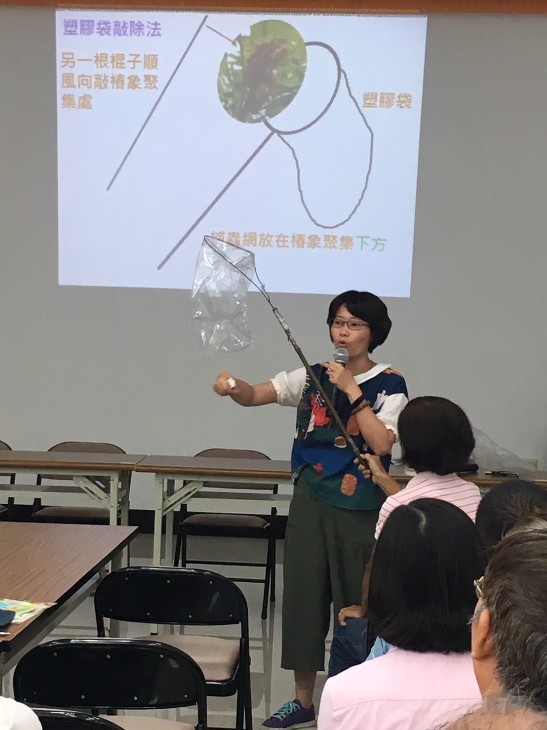 苗栗區農業改良場吳怡慧老師表示，製作捕蟲神器只要將一般補蟲網的網子換成塑膠袋，裡面噴灑一點醋酸，以另一隻竹竿敲擊荔枝椿象聚集處，捕蟲網在下面接住掉落的荔枝椿象，就能快速有簡單的捕捉到荔枝椿象， 圖：高雄市政府農業局/提供
