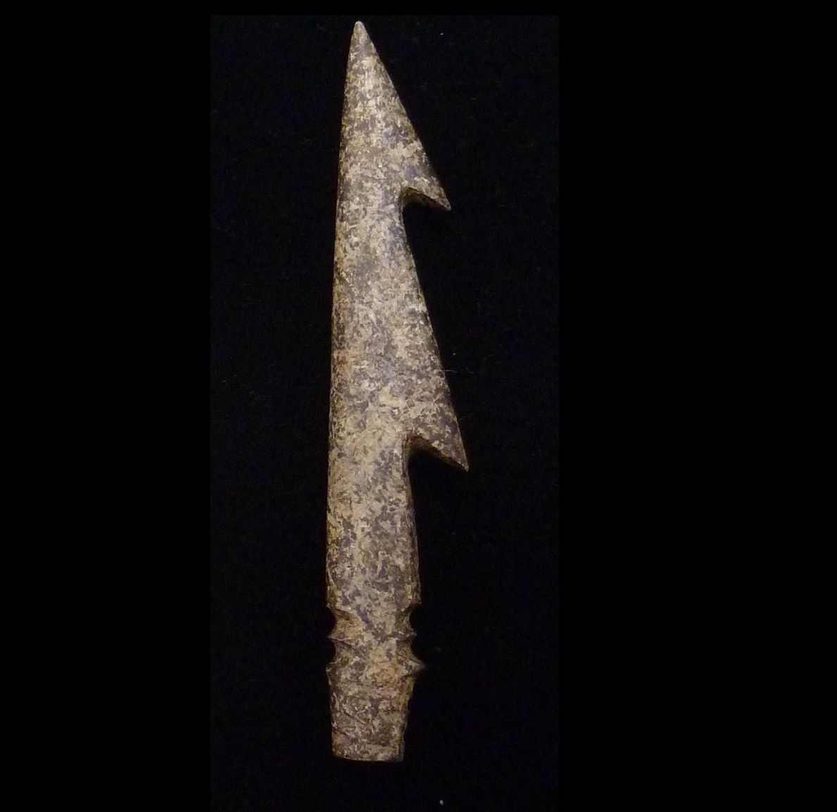 亮島考古隊在島尾 2號遺址發掘出土，由獸骨磨製而成精緻漁叉，估計距今七千五百年歷史。馬祖連江縣政府準備申報國寶。 圖:陳香蘭／攝
