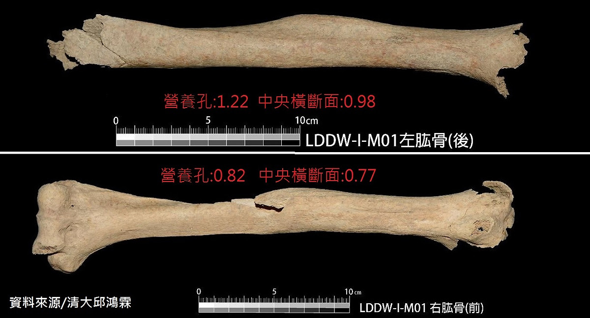 清大副教授邱鴻霖 比對了亮島1號人手骨，判定是一名左撇子。 圖:清大邱鴻霖副教授／提供