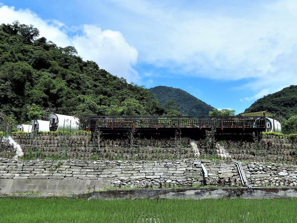 用涵管做旅舍，在西部不稀奇，但東部少見，南安這家最大持色是，標榜住在櫻花樹下和黑熊伴睡；商家在每個水管房間旁都種有櫻花樹，不是一般的緋寒櫻，而且是吉野和八重櫻，花開起來很漂亮，蜜蜂很多。  圖 : 邱顯明 / 攝影