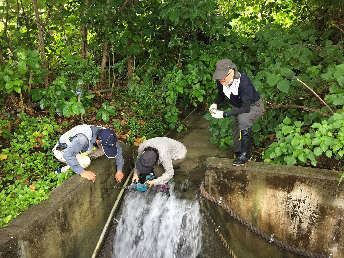 公路總局也與清華大學教授曾晴賢合作於該路段前後100 尺沿側溝架設帆布圍牆，利用陸蟹無法攀爬帆布光滑面設計，阻擋陸蟹穿越馬路再利用陸蟹喜好攀爬粗糙面特性，於箱涵配置繩梯引導陸蟹安全降海產卵。 圖 : 公路總局 / 提供