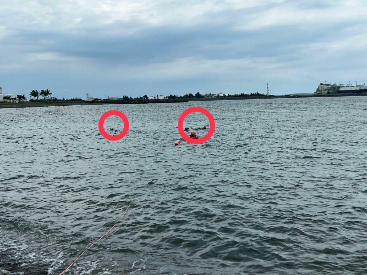 海巡人員下海救援疑似遭到流浪狗攻擊的老翁時，3隻流浪狗還在附近海域徘徊。 圖：海巡署提供