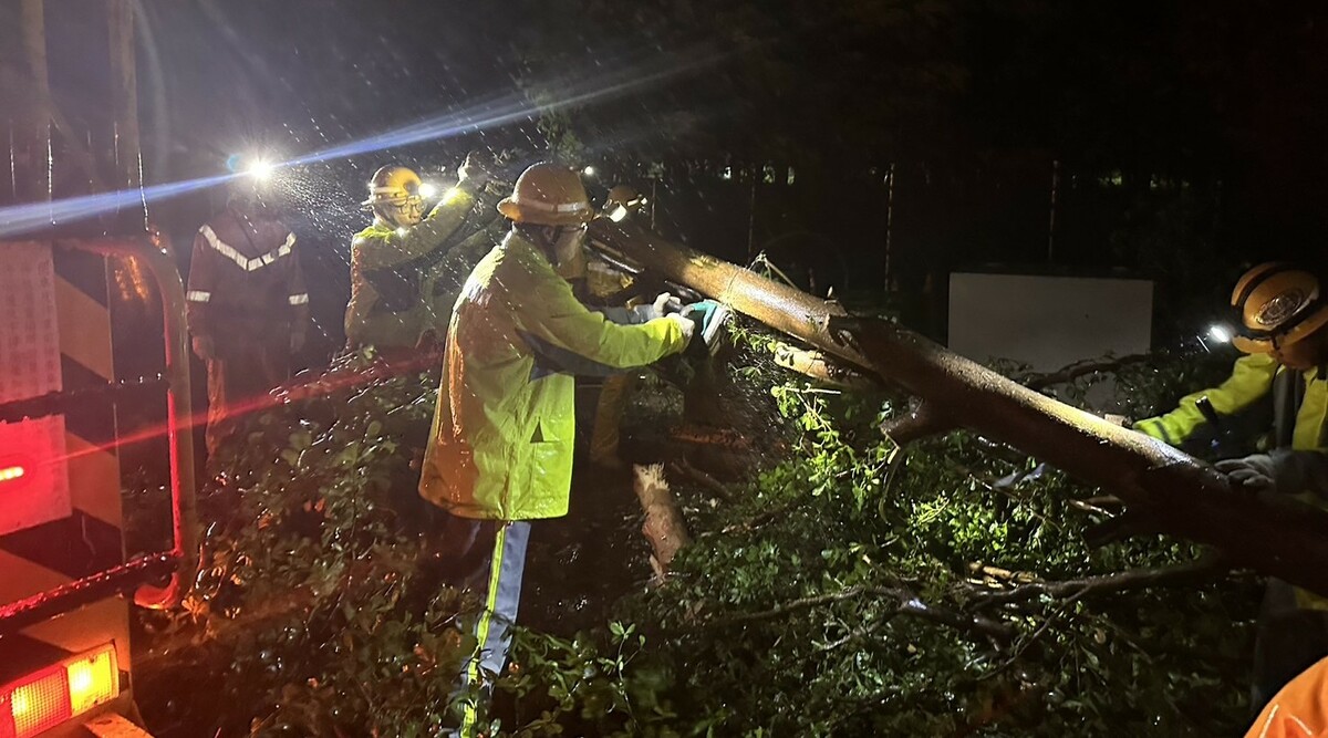 路樹倒塌壓不斷供電線造成停電，台電人員冒風雨搶修。 圖：台電高雄區營業處／提供