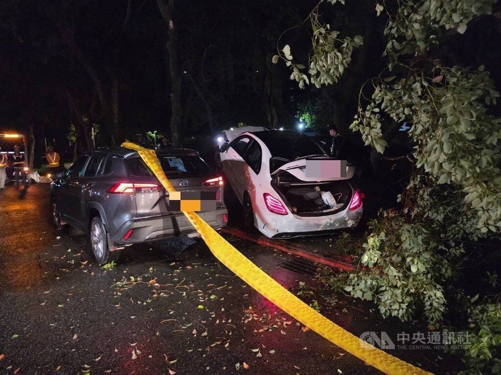 台北市信義區9日凌晨發生死亡車禍，多元計程車司機張男疑在路邊停車下車抽菸，突遭一輛賓士車撞上，警消到場發現張男倒臥草叢，經急救仍傷重不治。（翻攝照片）中央社記者黃麗芸傳真  114年7月9日