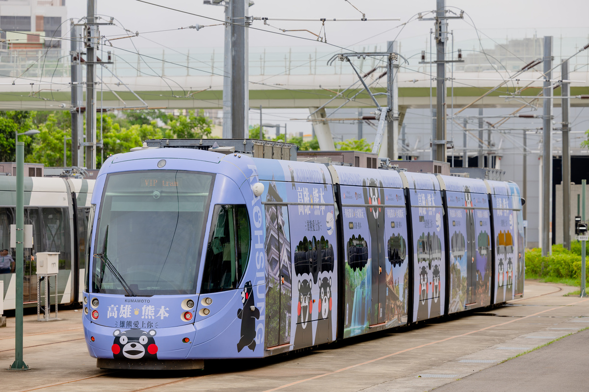 中華航空「雄熊愛上你」主題彩繪列車正式亮相。 圖：華航/提供