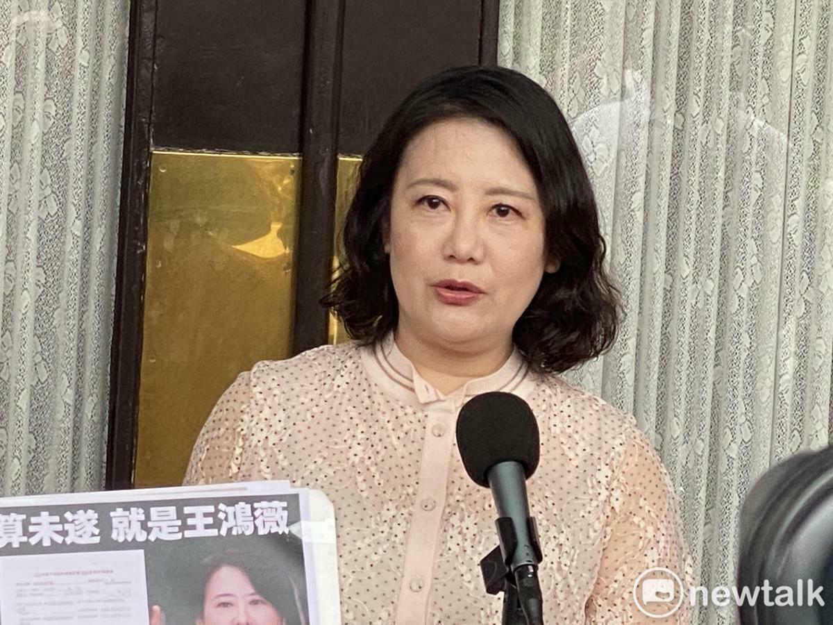 民進黨立委吳思瑤。 圖：林朝億/攝