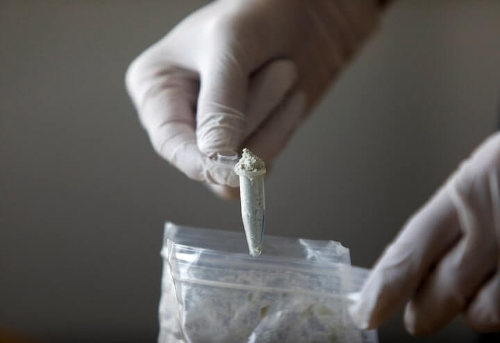 川普簽署法案加強打擊芬太尼 非法販運至少關10年