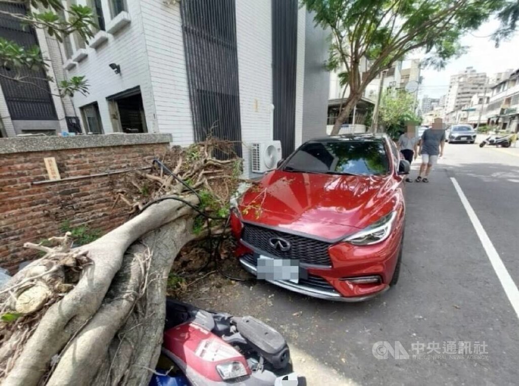台中市北屯區一處路口25日下午有一棵2層樓高路樹突然倒塌，造成停放路旁的自小客車、機車共3車受損，所幸未傳人員傷亡。（翻攝照片）中央社記者蘇木春傳真  114年7月25日