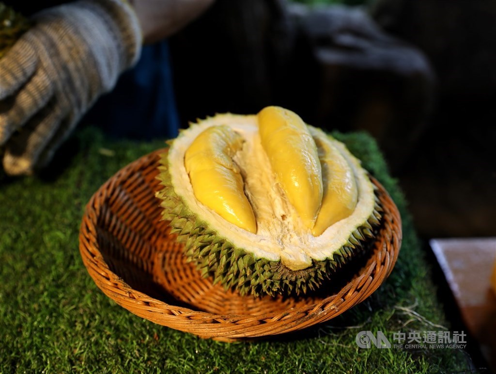 台中市后里區內東路一處民宅附近，有民眾凌晨疑似聞到瓦斯味，消防人員出動搜查無發生異狀，後來釐清是垃圾堆中發出臭味，民眾以為是榴槤味，後來警方證實只是腐敗水果的味道。（中央社檔案照片）