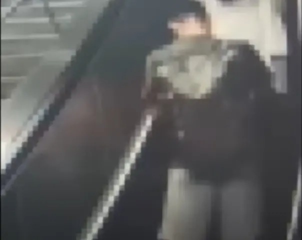 日本公務員來台旅遊竟偷拍女子裙底，士林地院判決4個月有期徒刑，得易科罰金。 圖：警方提供