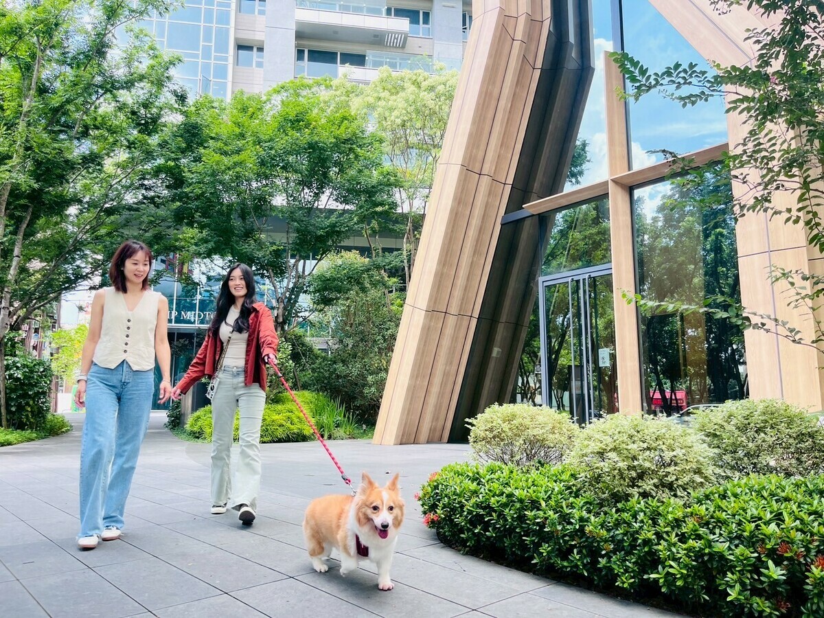 全國大飯店位於勤美草悟道旁，擁有天然遛狗步道與友善散步環境。 圖：全國大飯店/提供