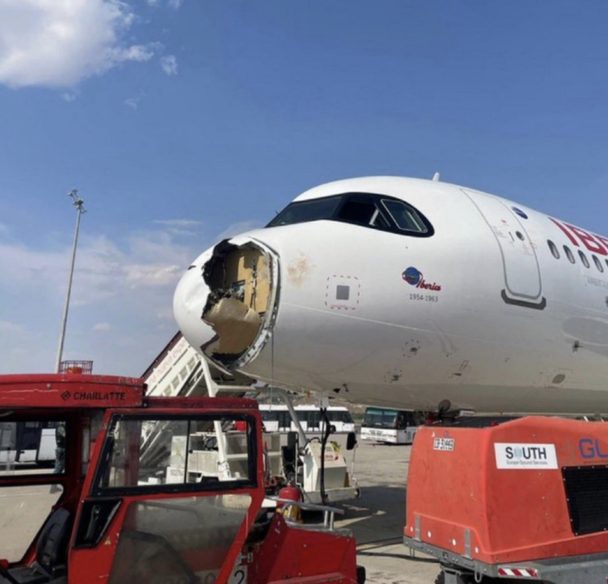 西班牙國家航空（Lberia）客機「空中巴士 A321neo XLR（Airbus A321neo XLR）」機頭受到鳥擊。 圖：擷取自 @ALTOS_NOTICIASpy 的 X