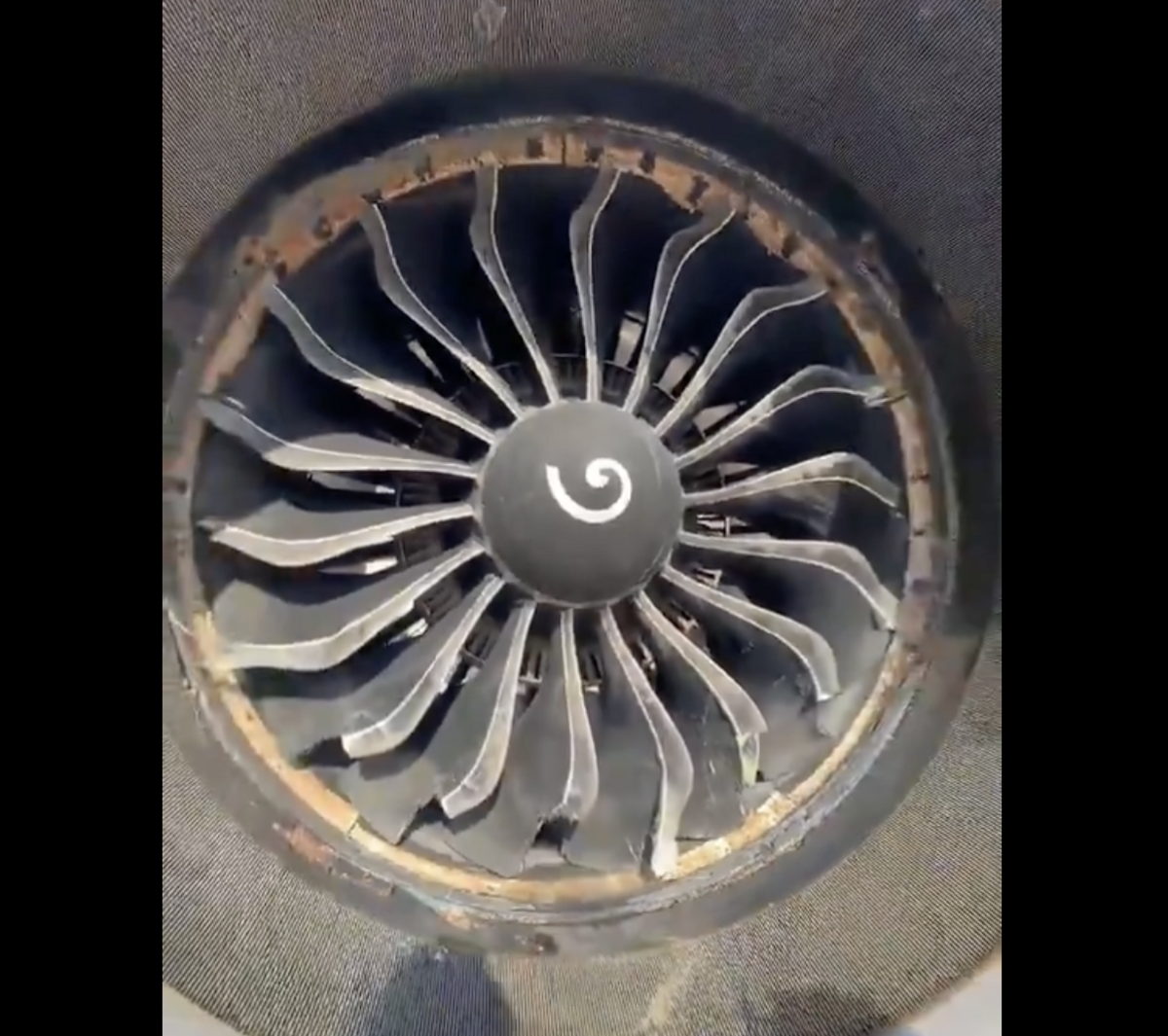 似是禿鷹的大型鳥類隨後又被吸入左側引擎，致使飛機的天線罩（radome）、扇葉先後受損。 圖：擷取自 aircraftmaintenancengineer 的 X