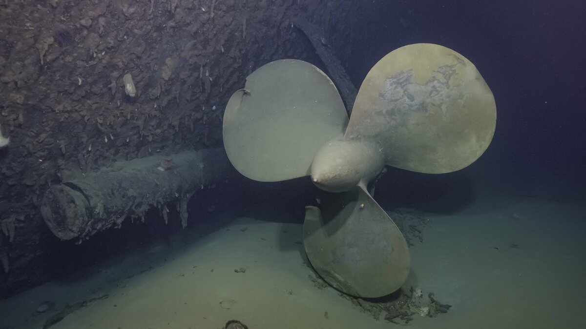 二戰期間遭日軍擊沉的美國海軍「昆西號」螺旋槳。 圖：翻攝「X」@EVNautilus