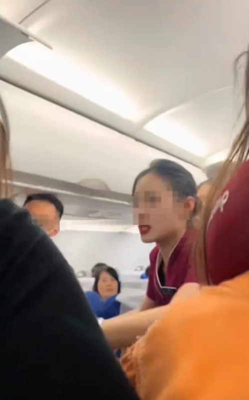 事發後，飛機剛一降落，雙方隨即爆發肢體衝突。影片顯示，機艙內場面一度混亂，其他乘客與空服員試圖勸阻無效。 圖:翻攝自大風新聞