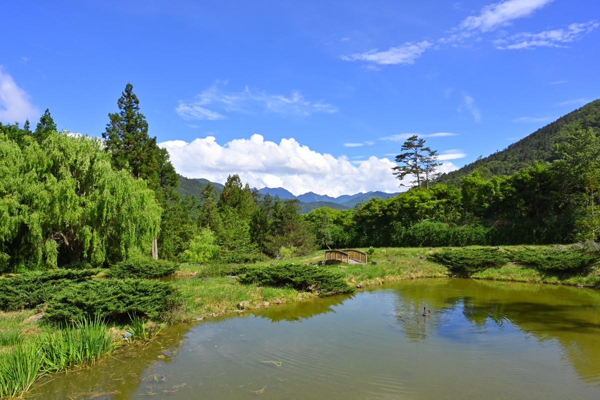 依據中央氣象局楊柳颱風預測路徑，台中福壽山農場預計於明(12)日下午2點進行預警性休園；武陵農場則預計於明日下午5點進行預警性休園，已完成住宿或活動預約的旅客，農場也已依規定聯絡住客協助處理。 圖：翻攝自武陵農場官網