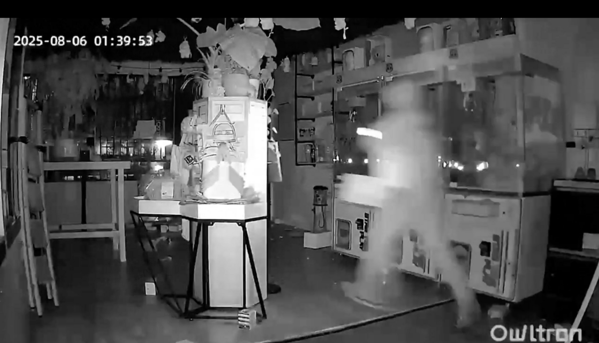 近日，一群戴著面罩的竊賊從加州的玩具店偷走了價值約 7,000美元的 Labubu 娃娃，震驚外界。 圖：擷取自《NEXTA》的 X