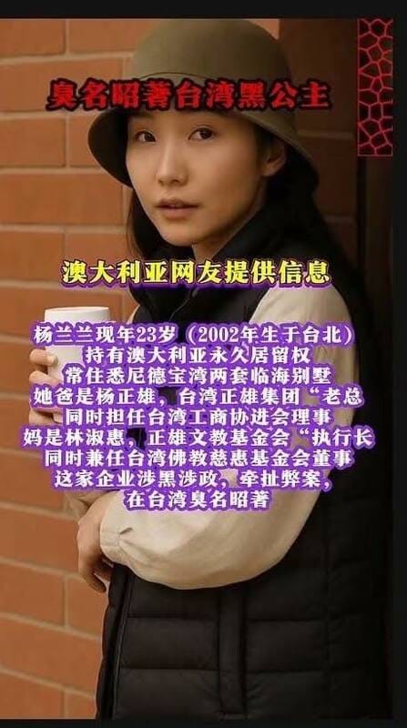 中國小粉紅造謠楊蘭蘭是台灣人、其家族與民進黨政要關係匪淺。 圖：翻攝矢板明夫臉書