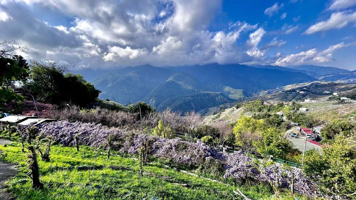 台中市和平區平等里、梨山里目前最大陣風超過十級。 圖：新頭殼資料照