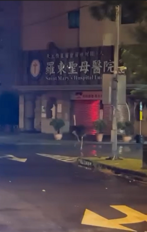 颱風夜宜蘭鴕鳥奔入羅東鬧區，經民眾拍攝熱傳，警方尋獲後依法開罰飼主。 圖：民眾提供