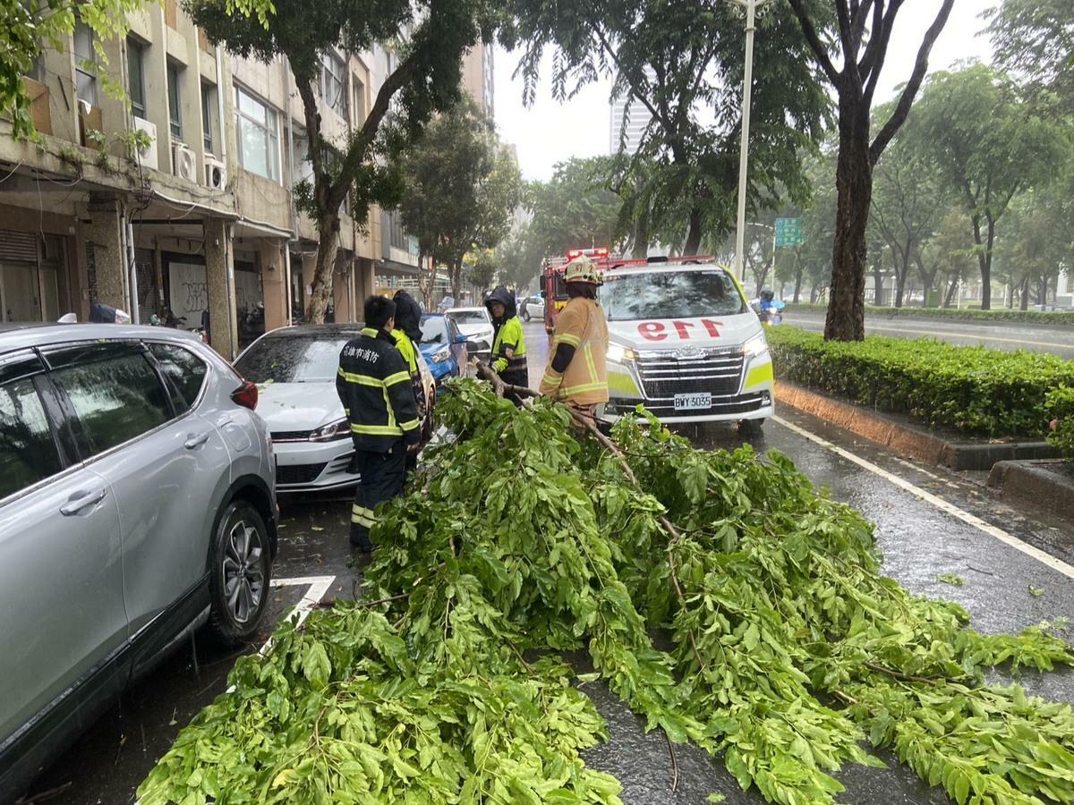 中華三路路樹倒塌，砸中行經該處的機車女騎士，造成左手腳輕微擦挫傷。 圖：高雄市消防局/提供