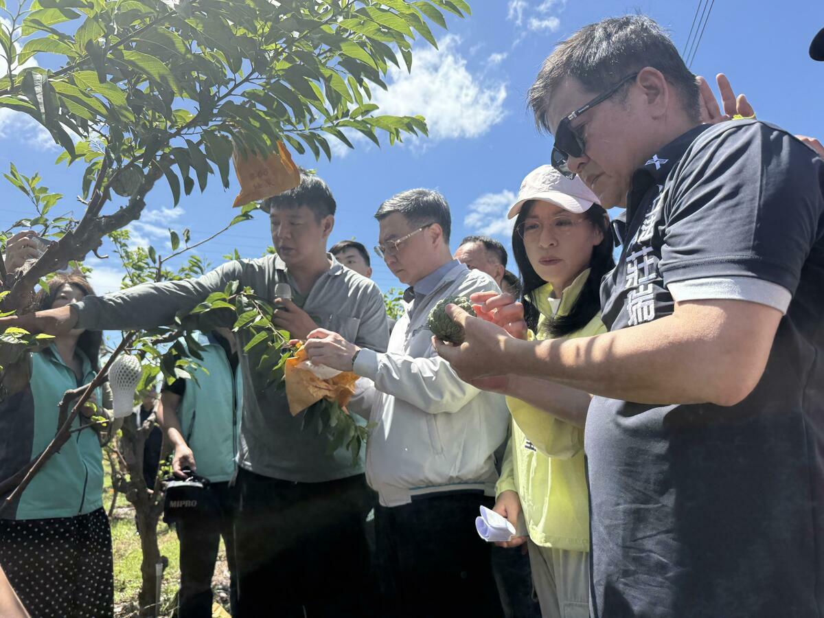 卓榮泰院長赴台東縣，視察楊柳颱風後大目釋迦災損情形。 圖：農業部／提供