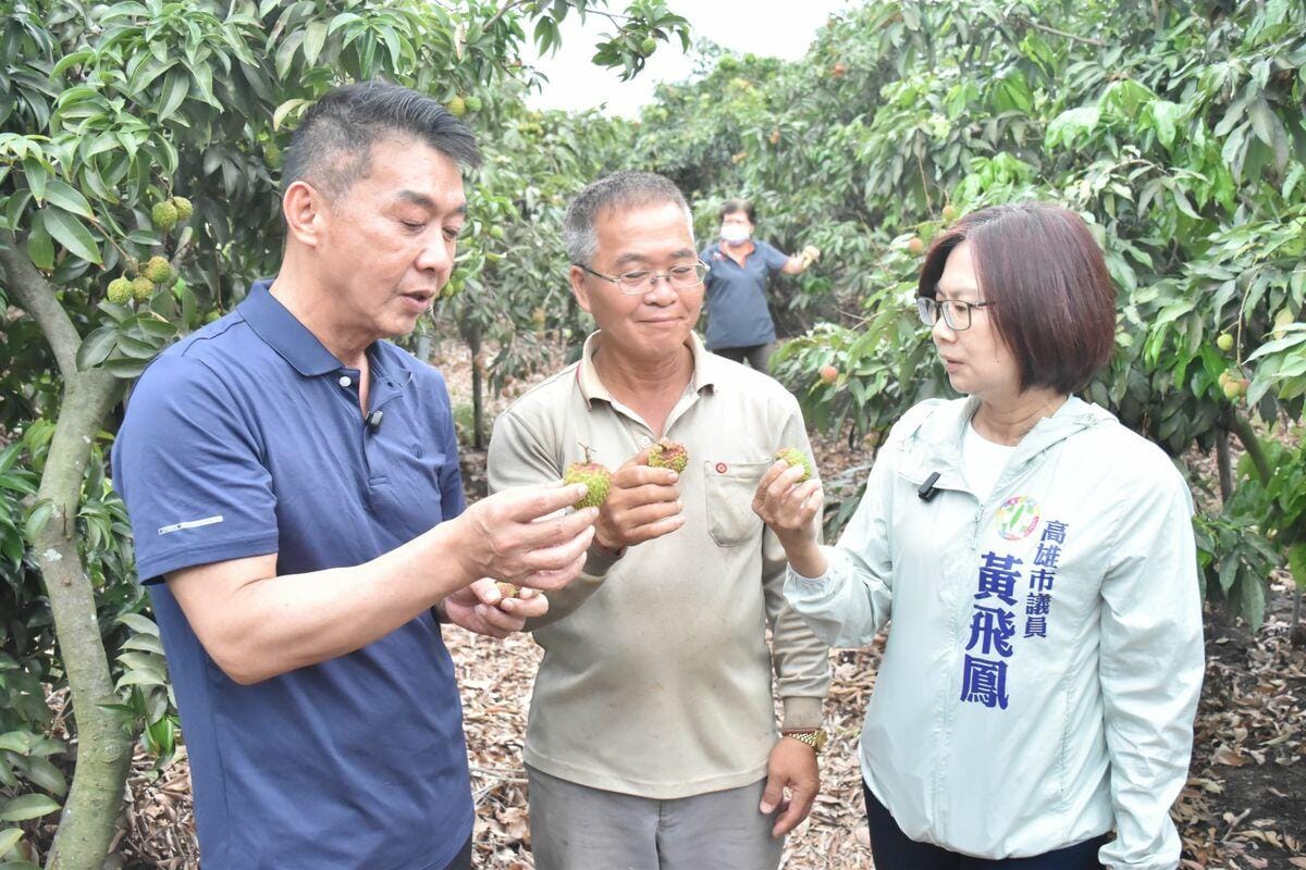 黃飛鳳(右)表態力挺許智傑(左)參選高雄市長。 圖：孫家銘翻攝
