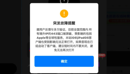 8 月 20 日凌晨，中國網路空間出現大規模異常，境外 443 埠（HTTPS 加密訪問）流量一度全面屏蔽，多個國際網站受影響，包括蘋果、特斯拉與必應等。 圖:翻攝自X帳號@FurinaDF