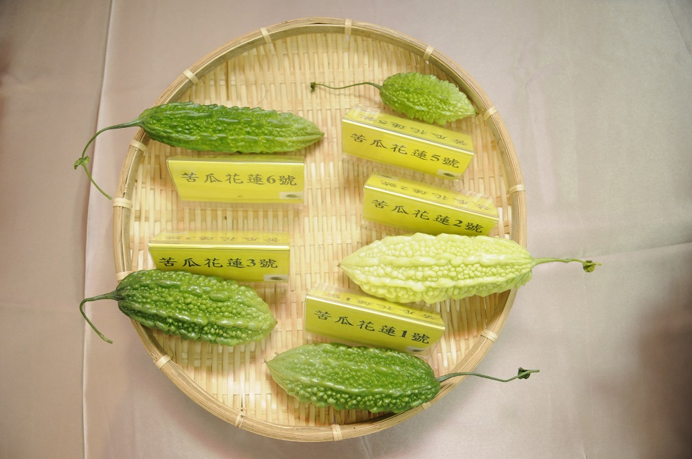苦瓜「花蓮4號」成功授權，目前已研究開發多種產品及純化原料供應國際市場，苦瓜「花蓮1號」-「花蓮6號」亦同樣受到國內農企業之青睞，並授權生產開發多樣保健產品行銷國內外，讓國際看見台灣農業！ 圖：農委會/提供