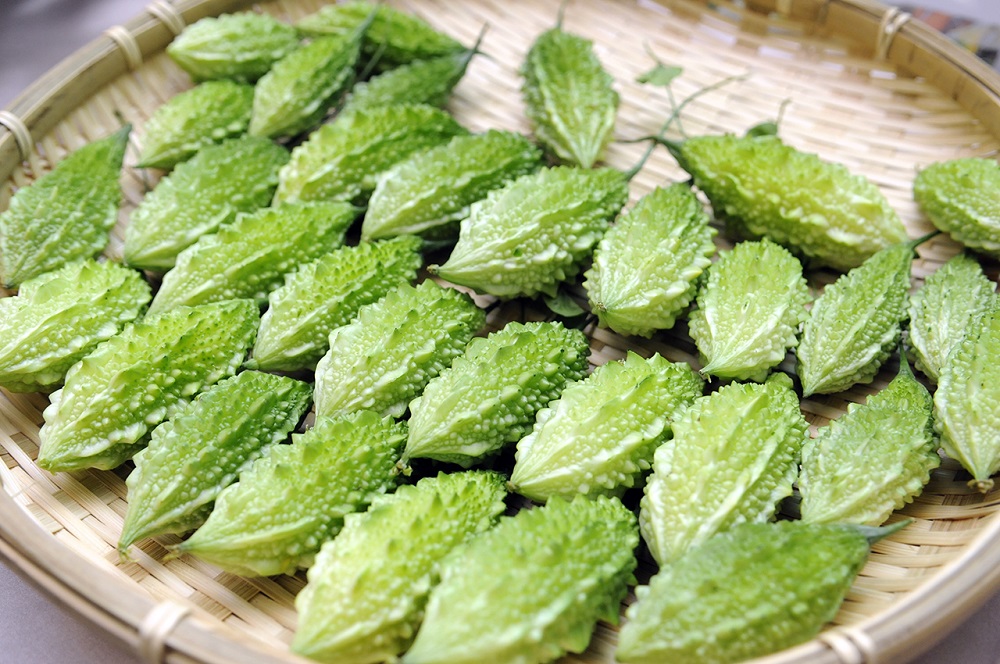 苦瓜新品種「花蓮4號」果實小、色澤呈深綠色，類似野生苦瓜，具有高雌花之結果特性、果實重量約20-50公克，適合春夏秋季栽培。 圖：農委會/提供