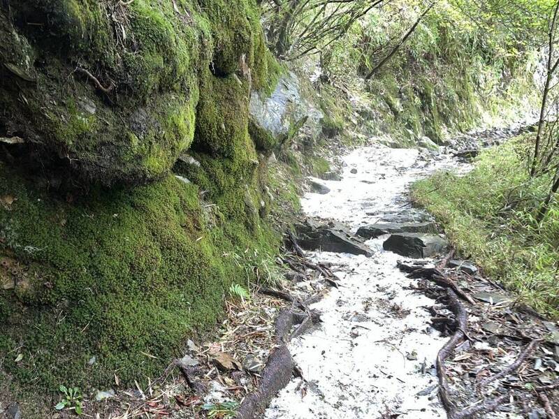昨天下午3時左右，保育巡查員於玉山前峰登山口至玉山步道4公里處行進間，回報遇到冰雹，部分路段積冰雹約3至5公分深。 圖：玉管處／提供